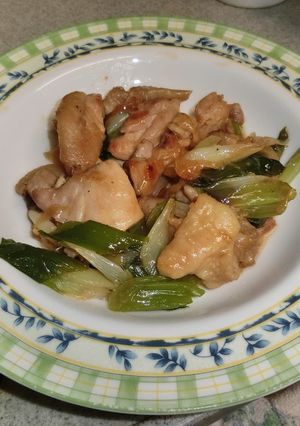 鶏肉と長ねぎの炒め物-レシピのメイン写真