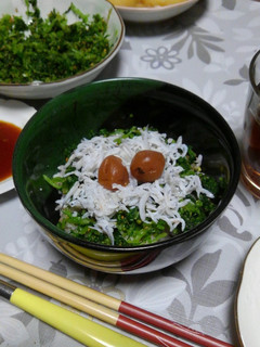 しらす丼-レシピのメイン写真