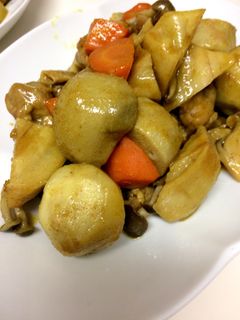 根菜と鶏モモ肉の和風カレー煮-レシピのメイン写真