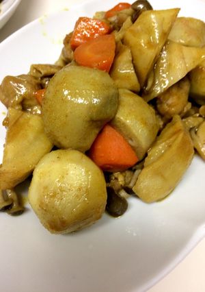 根菜と鶏モモ肉の和風カレー煮-レシピのメイン写真