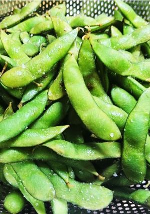 無水鍋で枝豆の塩茹で(蒸し)-レシピのメイン写真