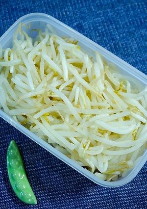 初めてでも簡単!もやしの下処理~作り置き-レシピのメイン写真