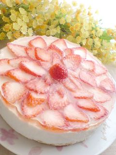 カルピスで*ヨーグルトムースケーキ-レシピのメイン写真