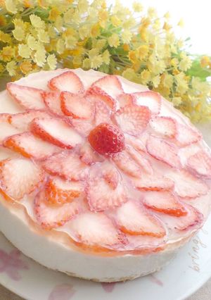 カルピスで＊ヨーグルトムースケーキ-レシピのメイン写真