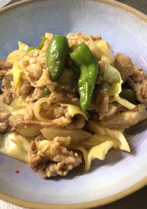 豚肉とたっぷりお野菜のピリ辛味噌炒め-レシピのメイン写真