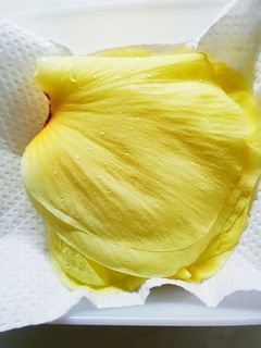 花オクラの保存方法-レシピのメイン写真