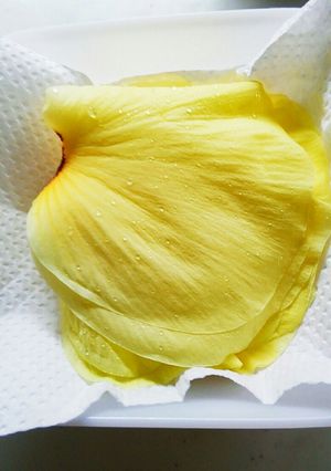 花オクラの保存方法-レシピのメイン写真