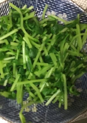 豆苗の塩ゆで-レシピのメイン写真