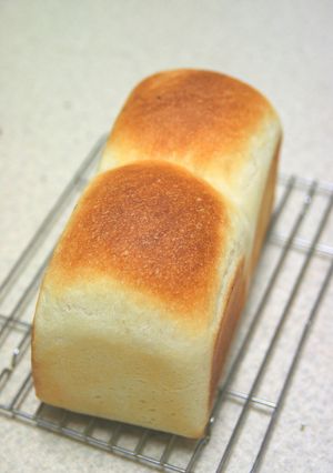 たんかん酵母パン　中種法-レシピのメイン写真