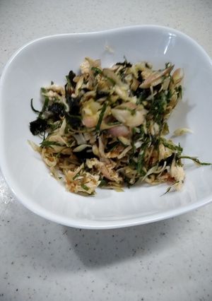 鶏ささみの薬味和え-レシピのメイン写真