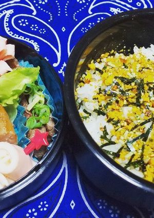 高校2年長男君お弁当♪-レシピのメイン写真