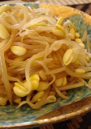 お鍋一つで☆豆もやしのあっさりナムル☆-レシピのメイン写真