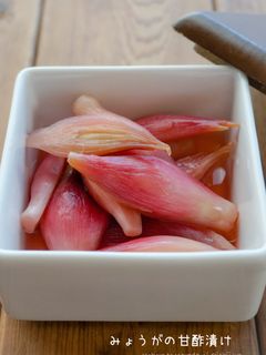 和味☆みょうがの甘酢漬け-レシピのメイン写真