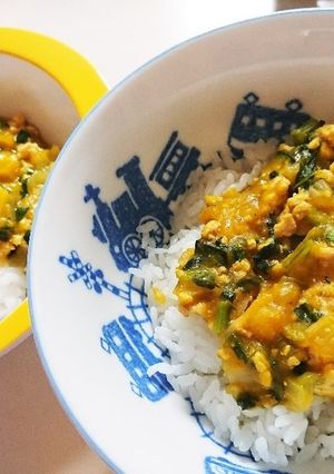 昼食に!カレー風かぼちゃ丼～離乳食にも～-レシピのメイン写真