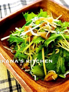 水菜とじゃこの搾菜サラダ♪♪-レシピのメイン写真