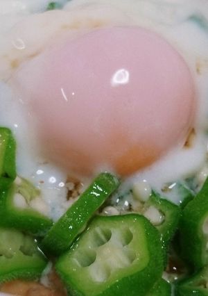 温玉オクラ納豆-レシピのメイン写真