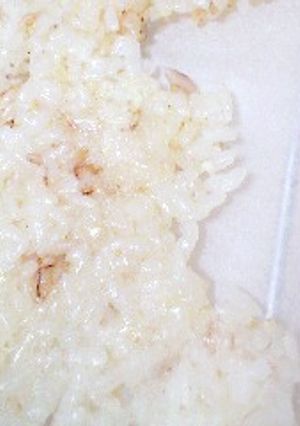 おこげのもと-レシピのメイン写真