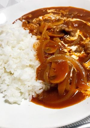 デミグラスソースで作るハヤシライス-レシピのメイン写真