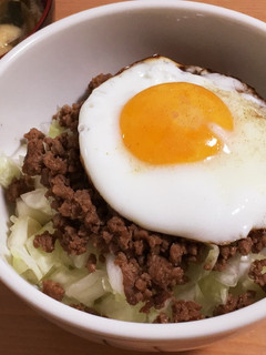 簡単☆ひき肉とキャベツの元気丼!-レシピのメイン写真
