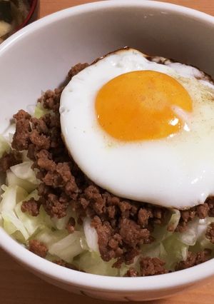 簡単☆ひき肉とキャベツの元気丼!-レシピのメイン写真