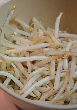 もやしの甘醤油酢漬け-レシピのメイン写真