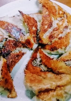 基本の焼き餃子-レシピのメイン写真
