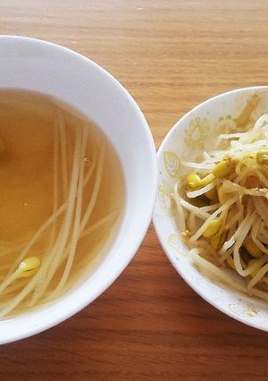 豆もやしのスープとナムル-レシピのメイン写真