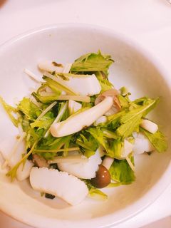 簡単♪作り置き高タンパク質でビタミン豊富-レシピのメイン写真