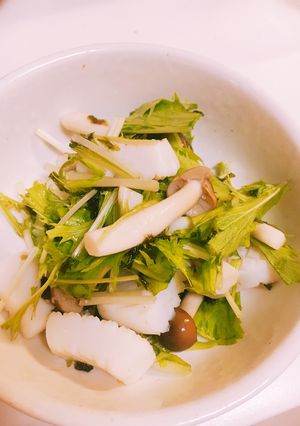簡単♪作り置き高タンパク質でビタミン豊富-レシピのメイン写真
