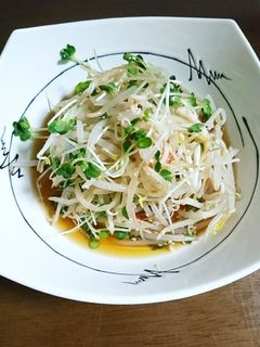 もやし&かいわれ大根の簡単中華サラダ♪-レシピのメイン写真