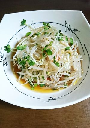 もやし&かいわれ大根の簡単中華サラダ♪-レシピのメイン写真