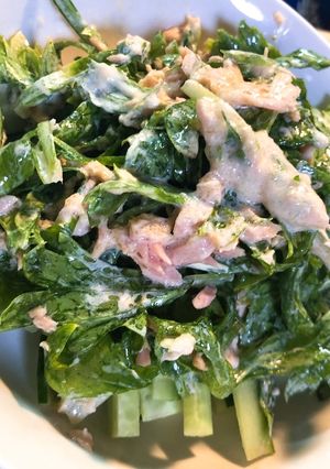 セロリの葉でサラダ-レシピのメイン写真