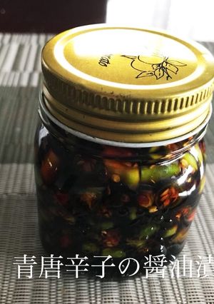 青唐辛子の醤油漬け。(*'▽'*)-レシピのメイン写真