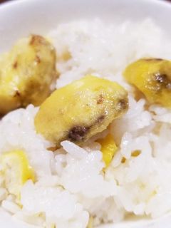 もっちり、ほくほく 栗ご飯-レシピのメイン写真