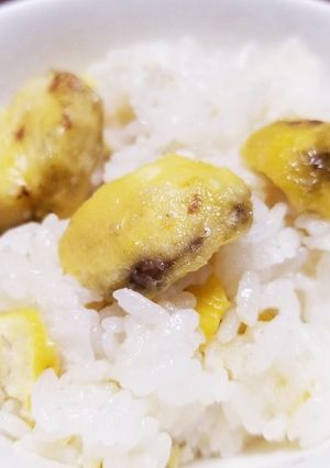 もっちり、ほくほく 栗ご飯-レシピのメイン写真