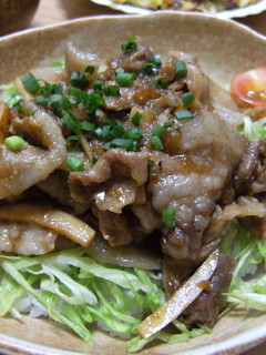 タレが決めて!の豚丼-レシピのメイン写真