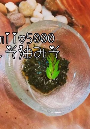 簡単しその実 油味噌 大量消費 保存食-レシピのメイン写真