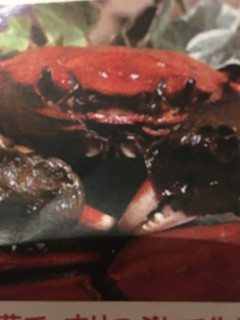 川カニの塩茹で-レシピのメイン写真