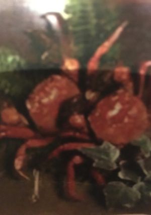 川カニの甘辛煮-レシピのメイン写真