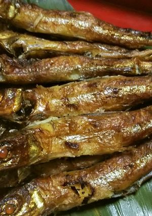 ニギスの燻製-レシピのメイン写真
