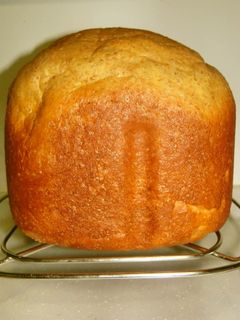 糖質制限 ふすま・大豆・おからde食パン-レシピのメイン写真