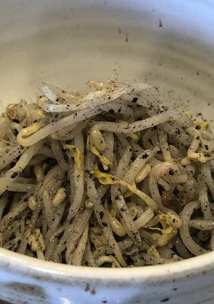 ちっちゃなおかず・もやしのナムル-レシピのメイン写真