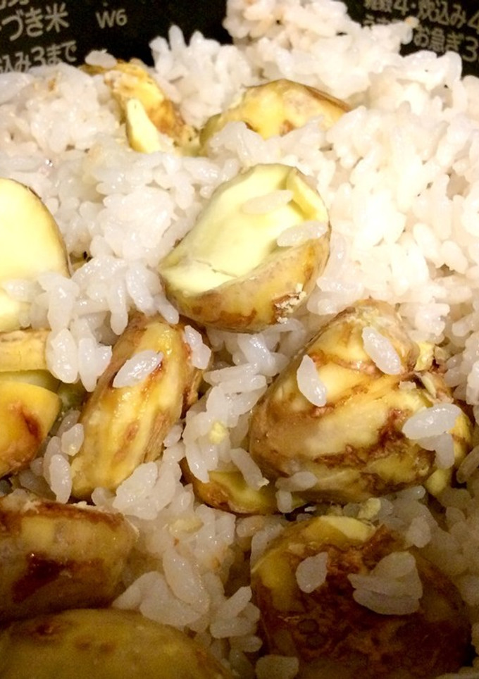 栗ゴロゴロ多めの栗ご飯-レシピのメイン写真