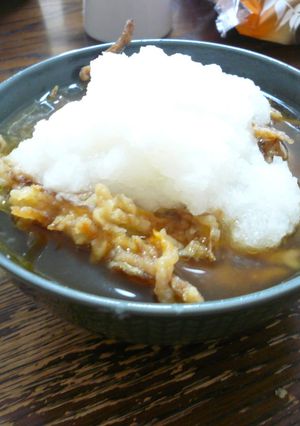 煮天、大根おろし大量載せ-レシピのメイン写真