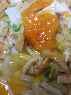 あっという間のぶっ掛けうどん♪-レシピのメイン写真