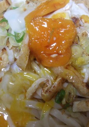 あっという間のぶっ掛けうどん♪-レシピのメイン写真