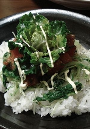 漬け丼に♪サーモンのしょうゆ漬け-レシピのメイン写真