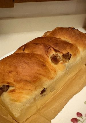 どこを食べても豆の豆パン-レシピのメイン写真