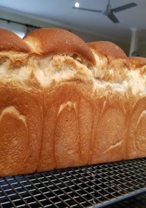 もっちもち柔らか餅食パン-レシピのメイン写真