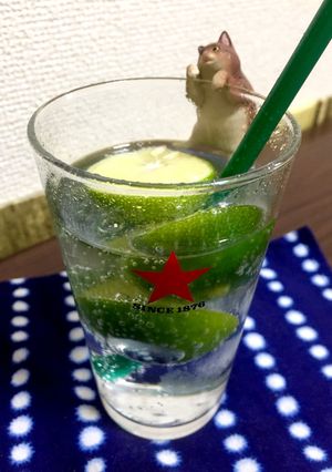 氷結すだち酎-レシピのメイン写真